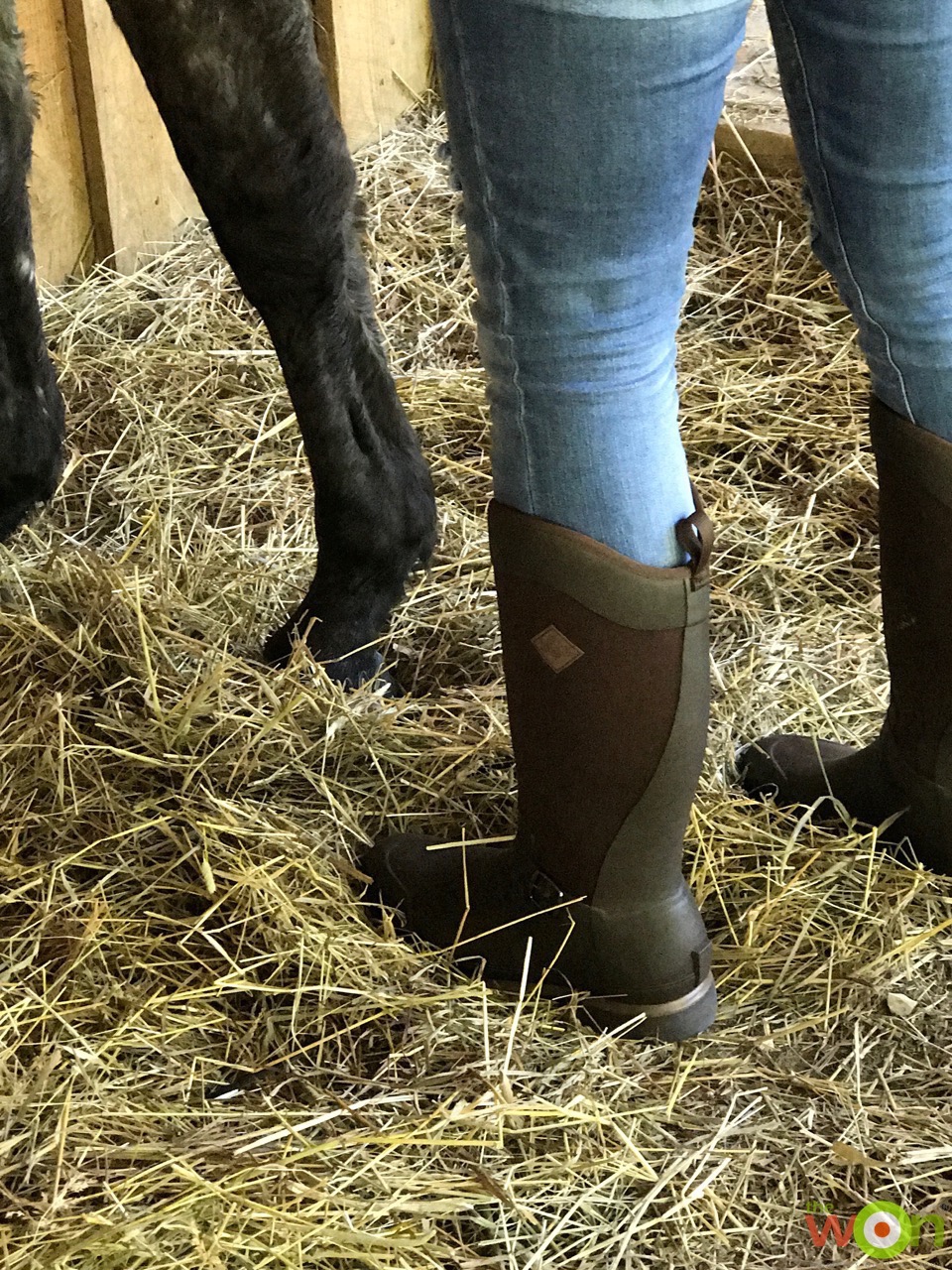 muck reign tall equestrian boots