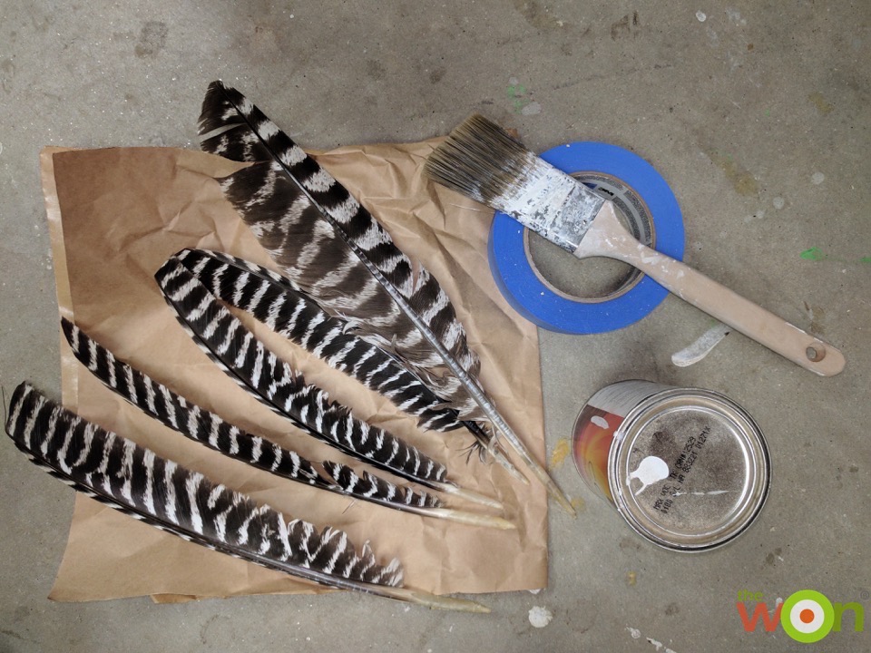 DIY Project: Wild Turkey Feather Art