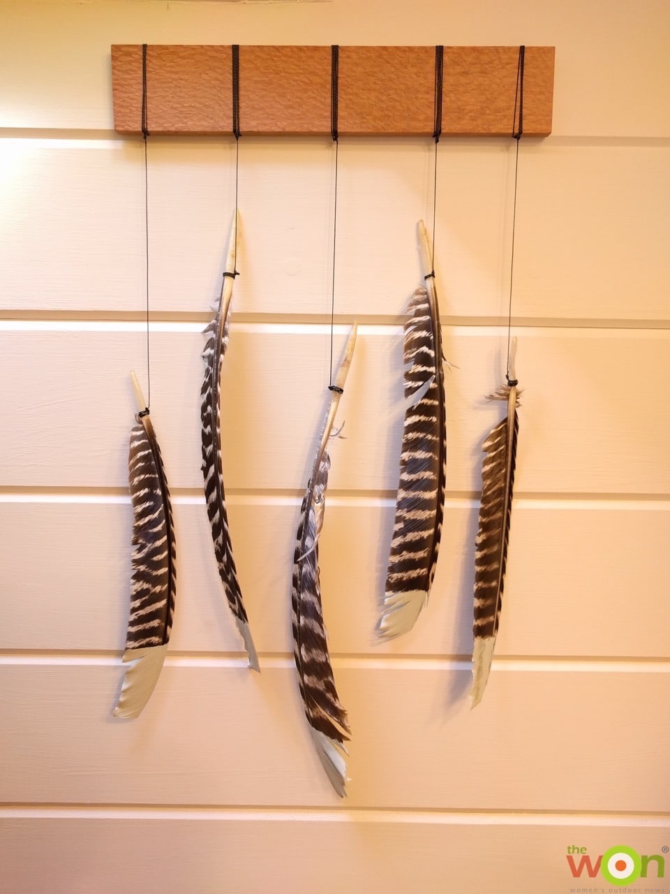 DIY Project: Wild Turkey Feather Art
