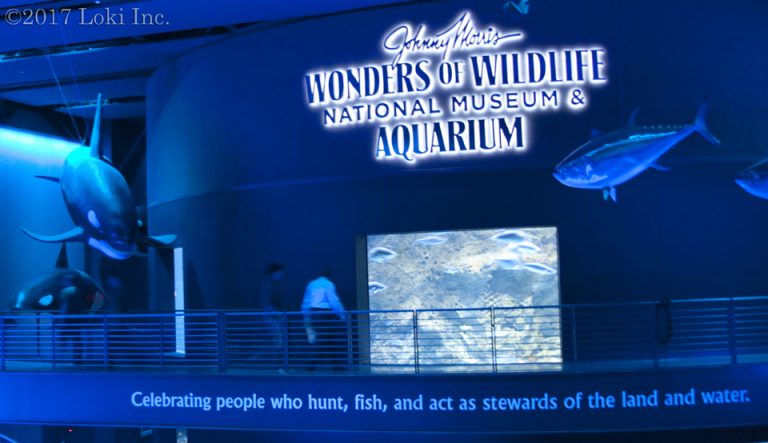 Retro WON: Johnny Morris's Wonders of Wildlife National Museum & Aquarium