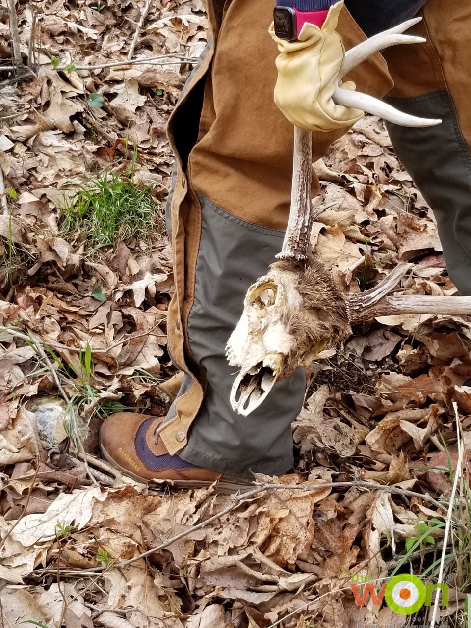 Windrose in Ozarks with skull