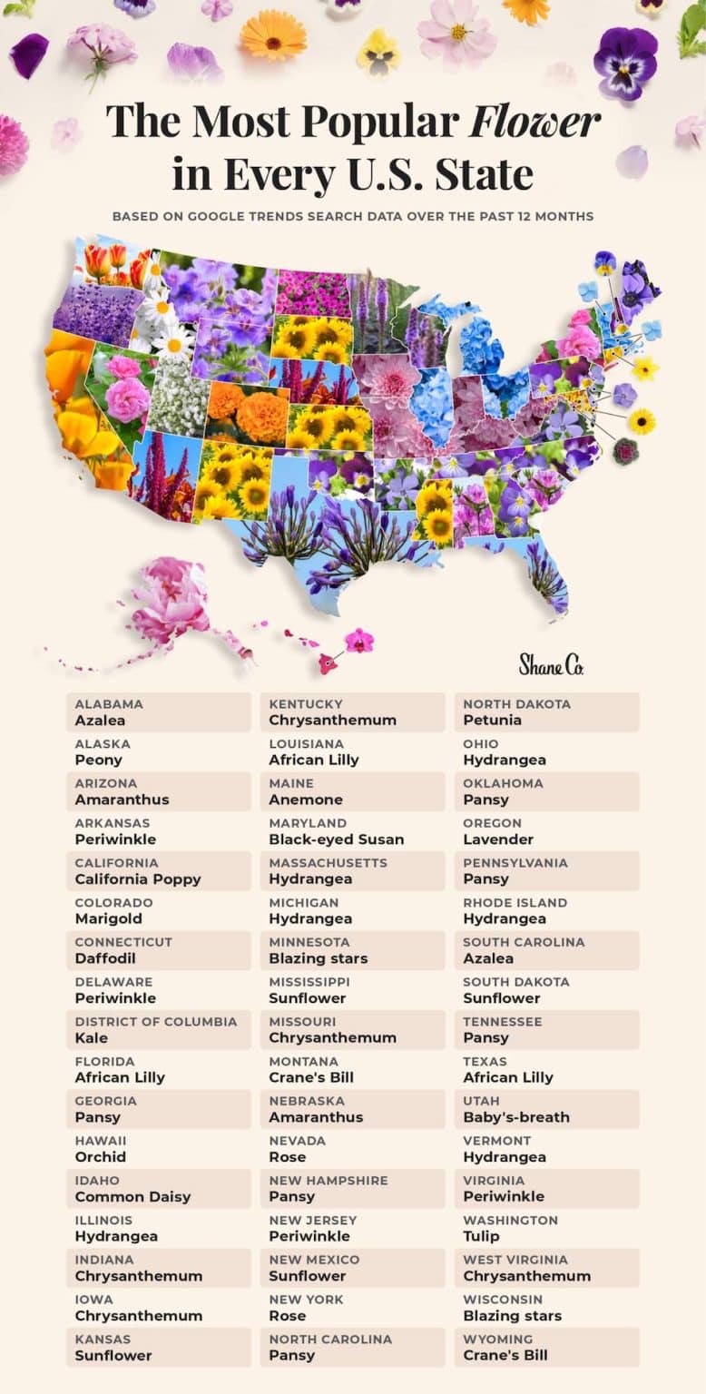 Every States Favorite Flower