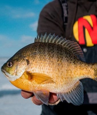 https://www.womensoutdoornews.com/wp-content/uploads/2024/02/Mid-to-Late-Ice-Walleyes-Panfish-Safety-More-feature.jpg