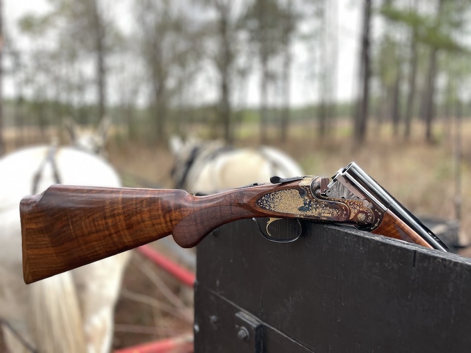 Julia field on wagon mules