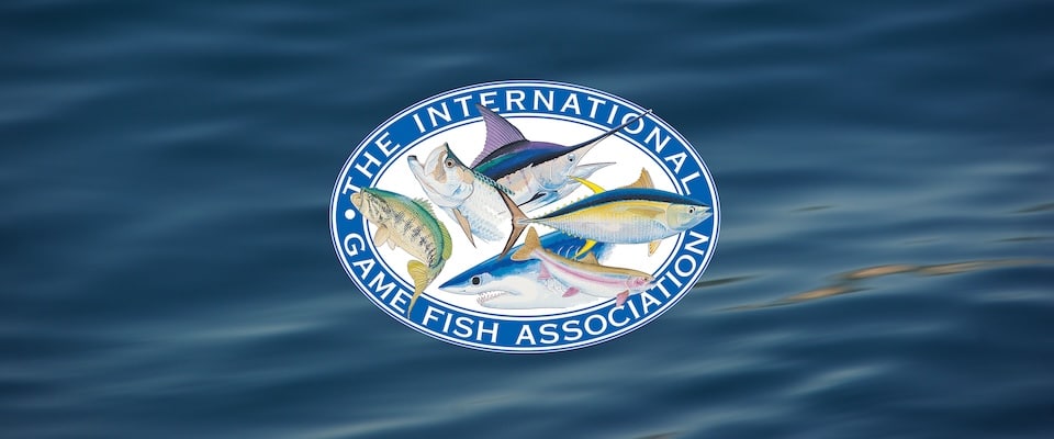 International Game Fish Association