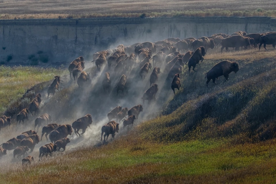 Second Place | Jack Denger, Badlands National Park (Jack Denger) Share the Experience photo contest