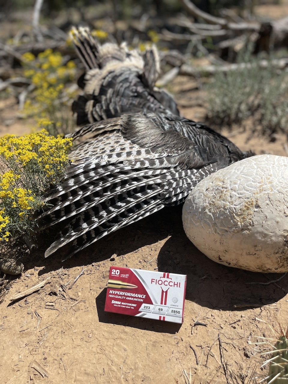 turkey with ammo