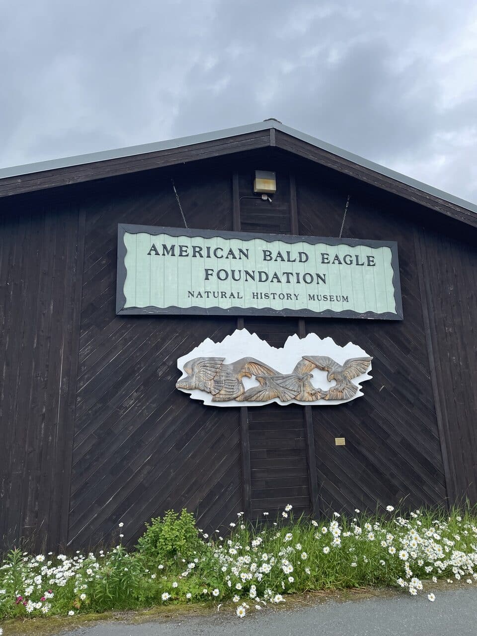 American Bald Eagle Foundation Haines