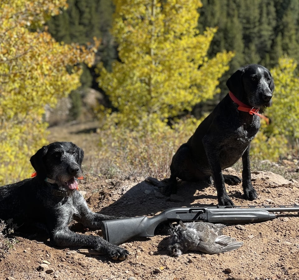 Bird dogs with Bird and shotgun