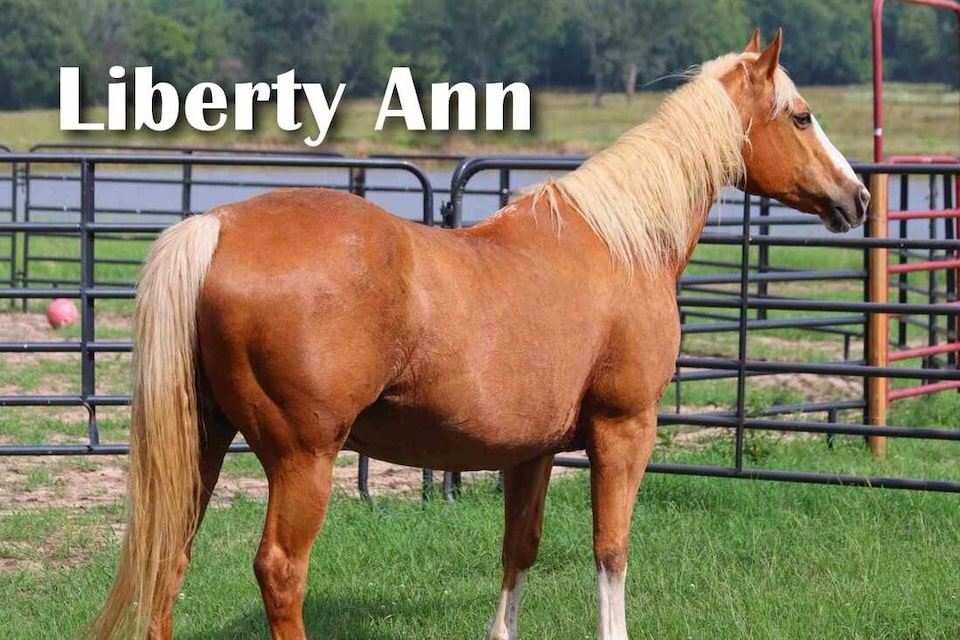 Liberty Ann