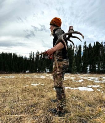 Colorado elk hunt feature