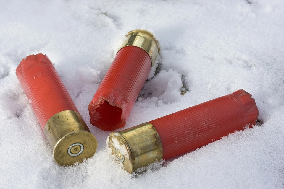 Ammo in snow cold days