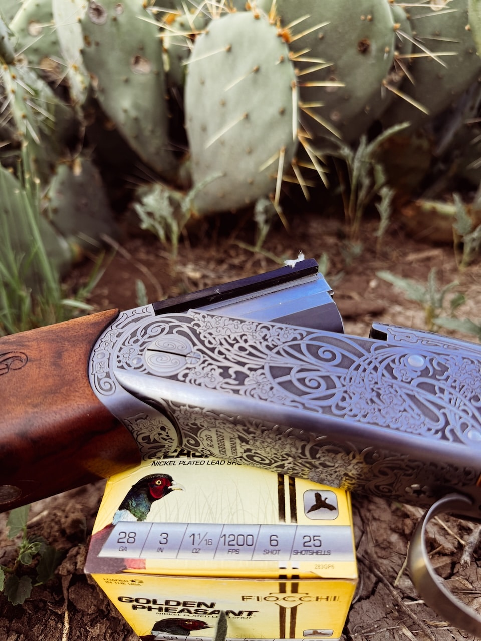 Krieghoff with Fiocchi and prickly pear cactus 3