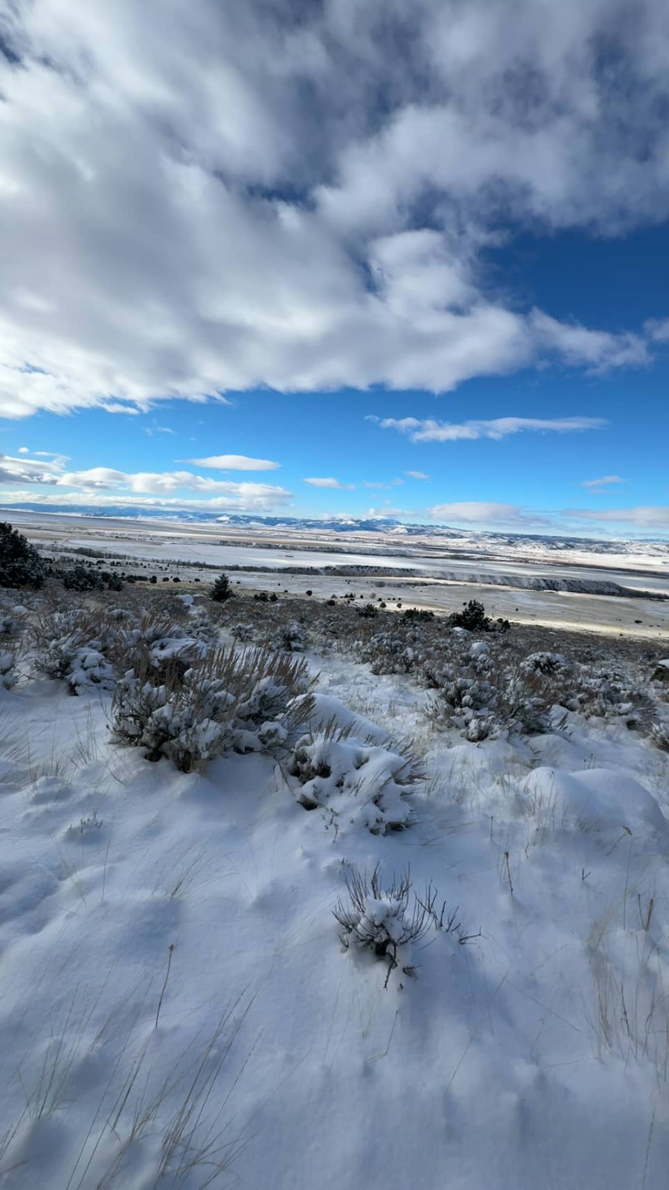 view from on the T ridge