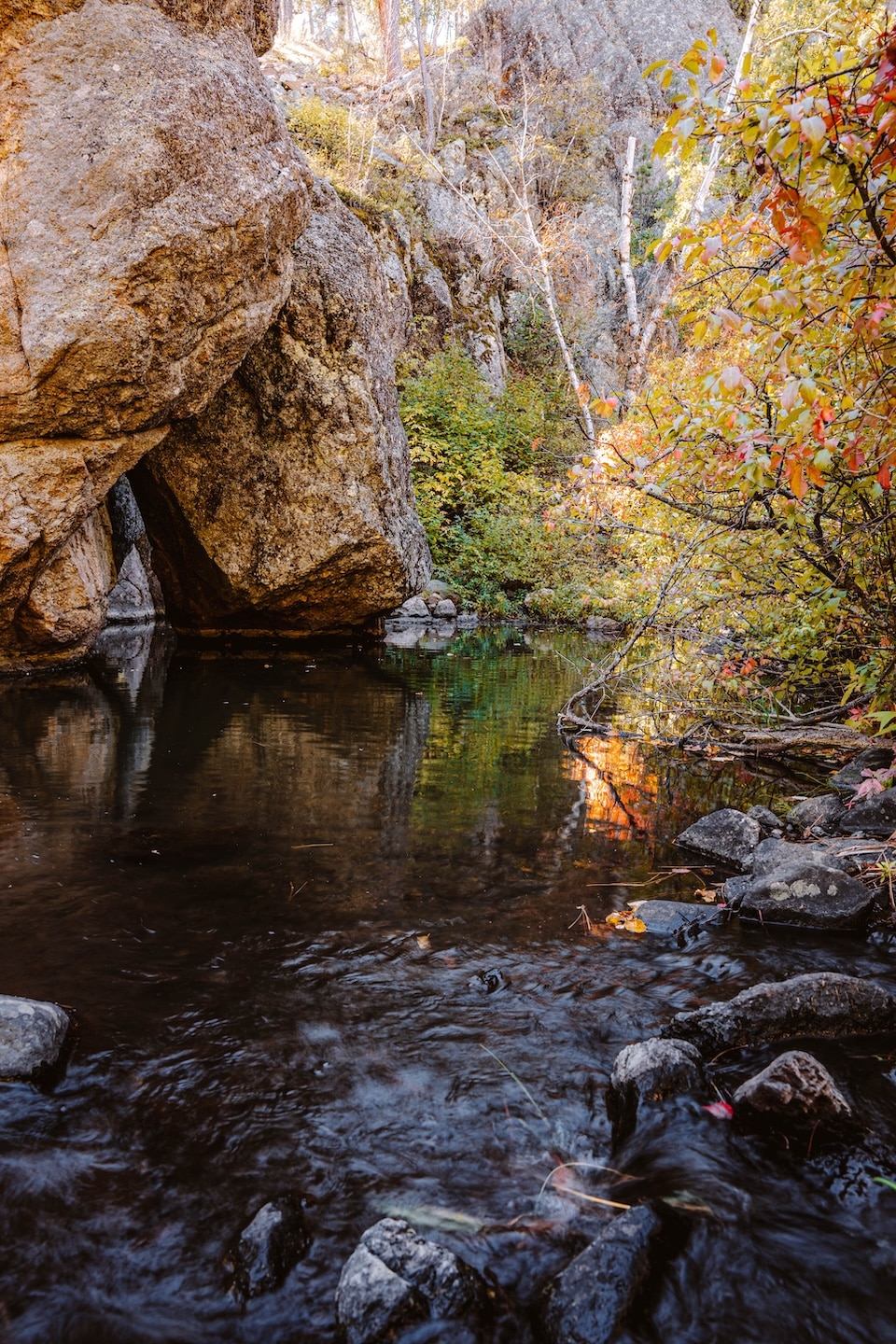 Stream at Grace Coolidge Walk-in Fishery